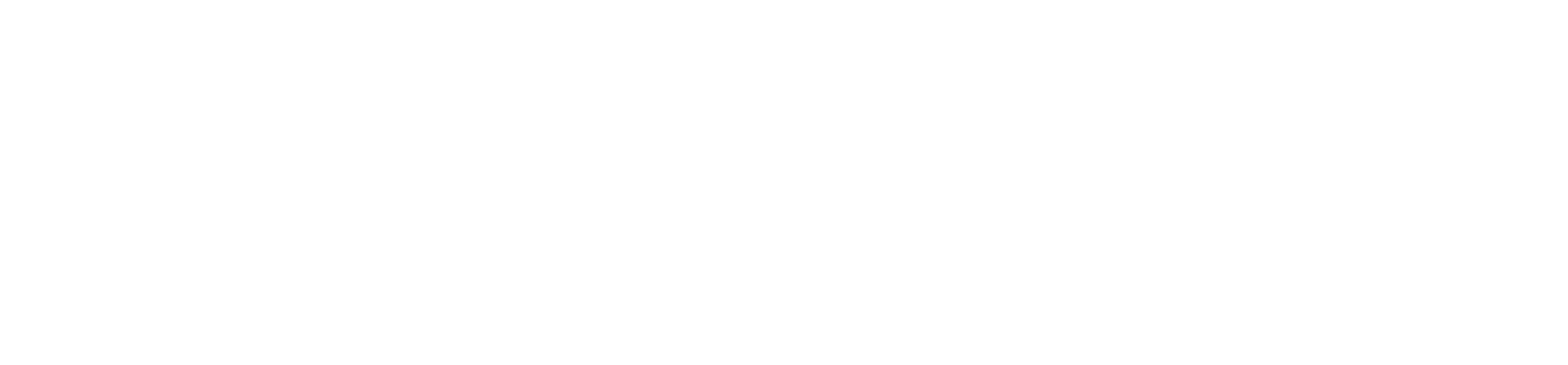 ENG | Ridrplug